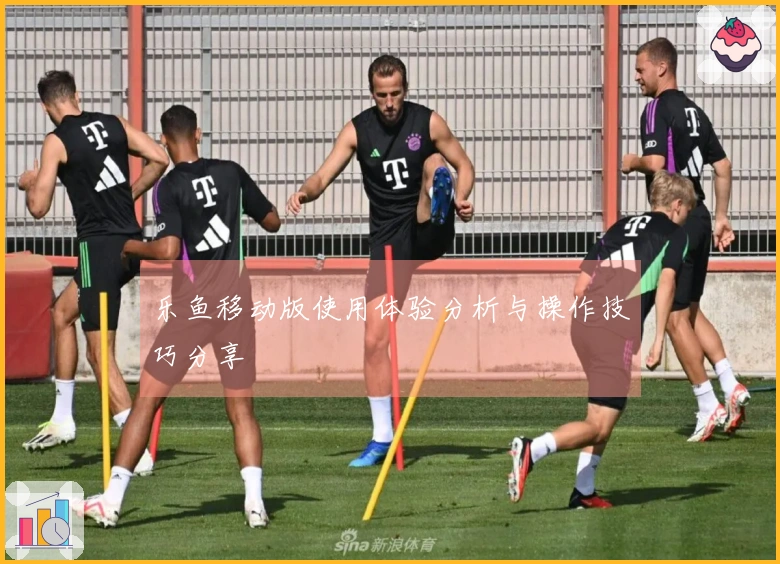 乐鱼移动版使用体验分析与操作技巧分享