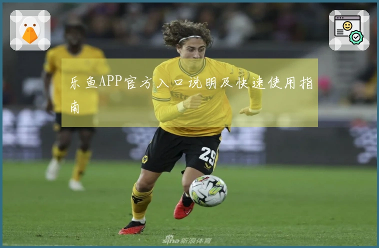 乐鱼APP官方入口说明及快速使用指南