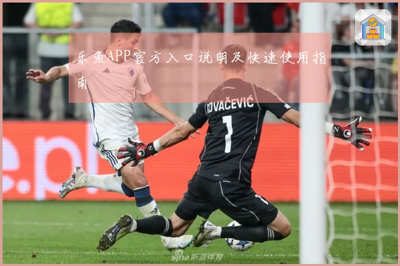 乐鱼APP官方入口说明及快速使用指南