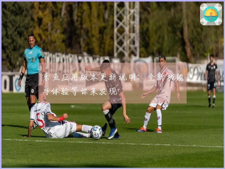 乐鱼应用版本更新说明：全新功能与体验等你来发现