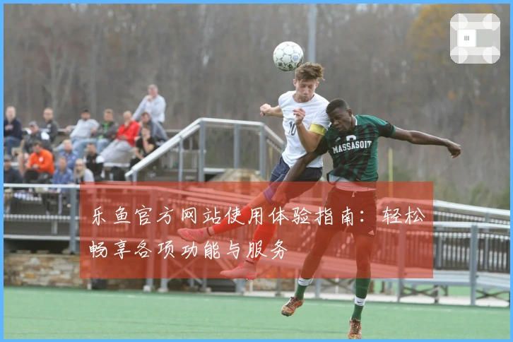 乐鱼官方网站使用体验指南：轻松畅享各项功能与服务